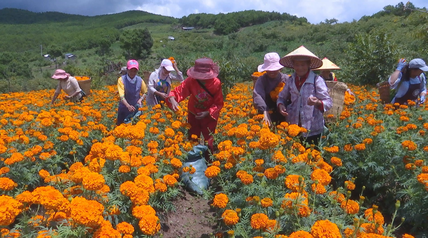大理电视台