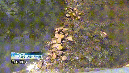 春城晚报