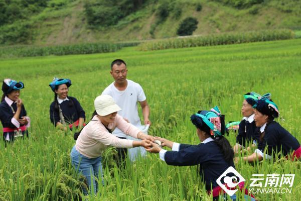 云南省文化和旅游厅