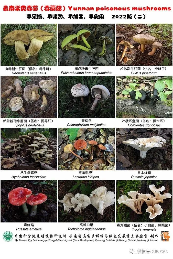 昆明市呈贡区人民法院(微信)