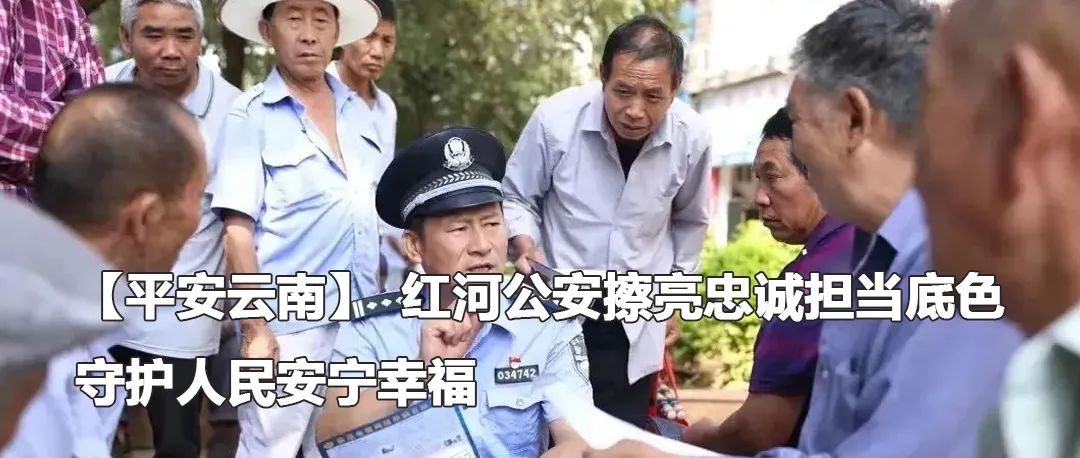 云南政法