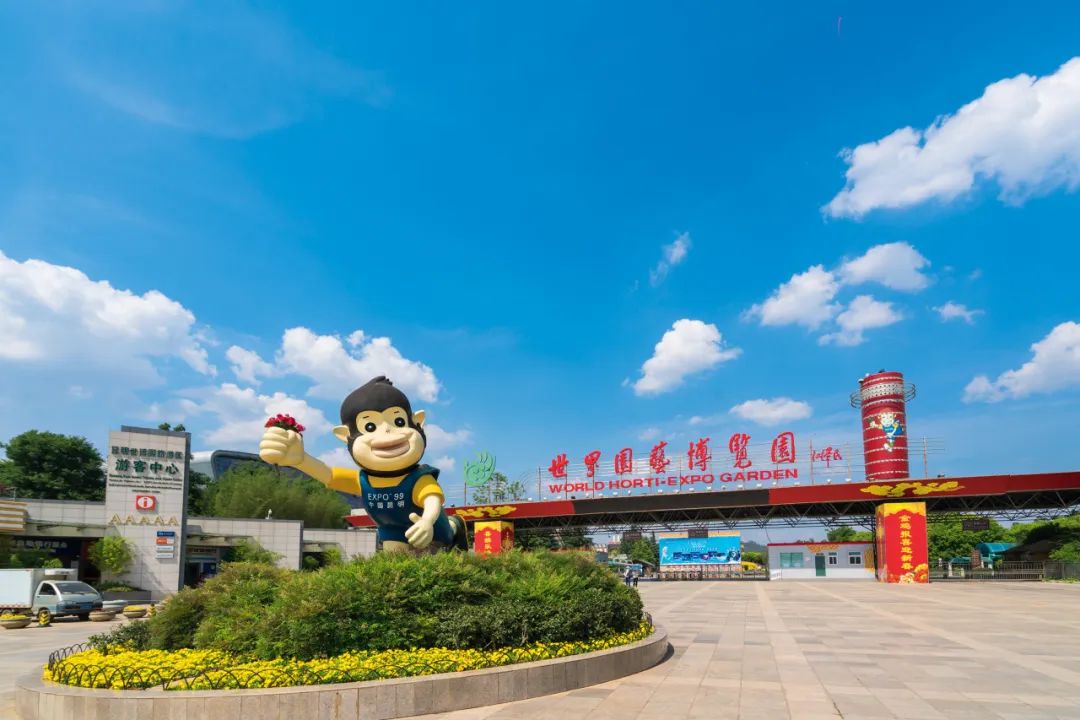 一部手机游云南