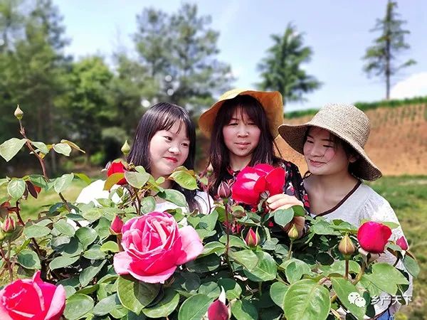 昆明市农业农村局