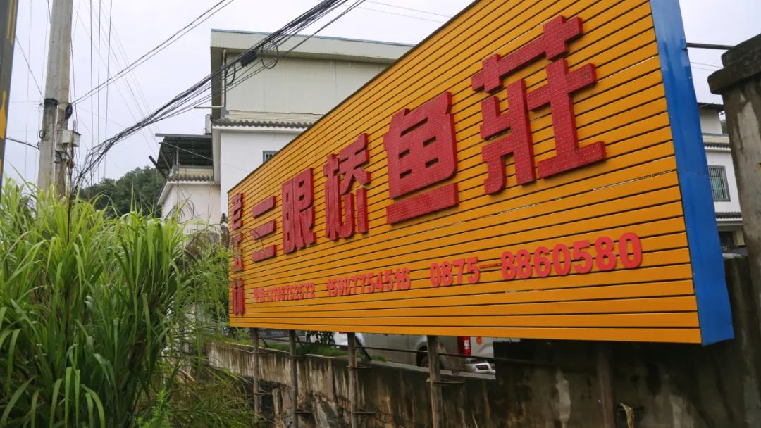 保山新闻网