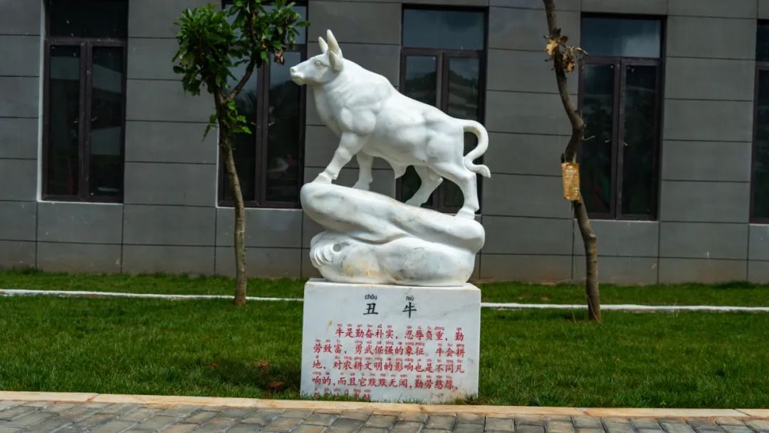 丽江日报