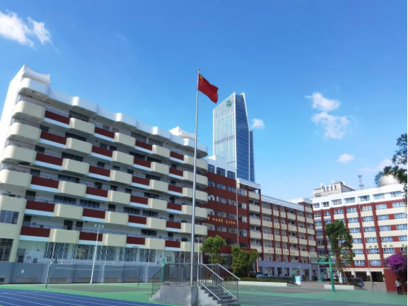微观盘龙