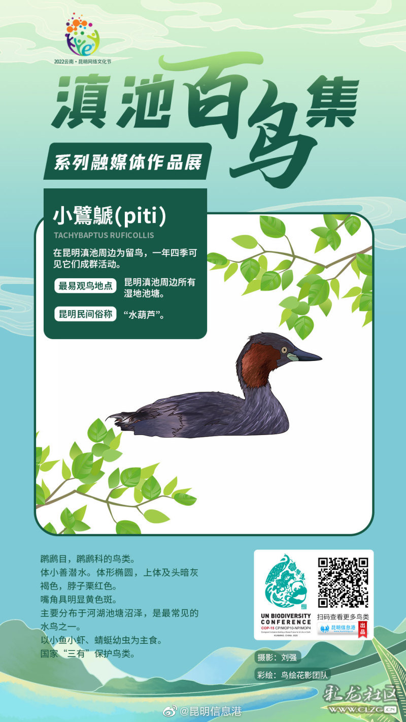 昆明信息港