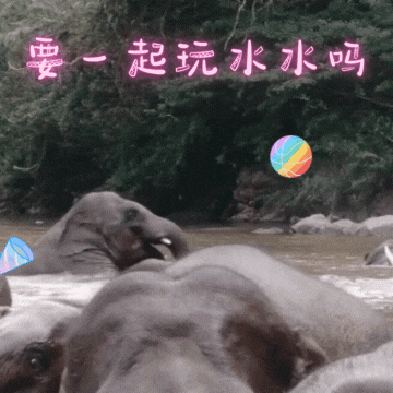 普洱日报