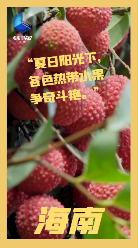 918云南交通台(微信)