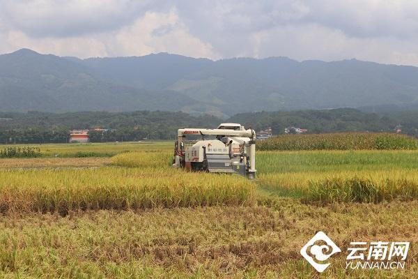 云南省文化和旅游厅