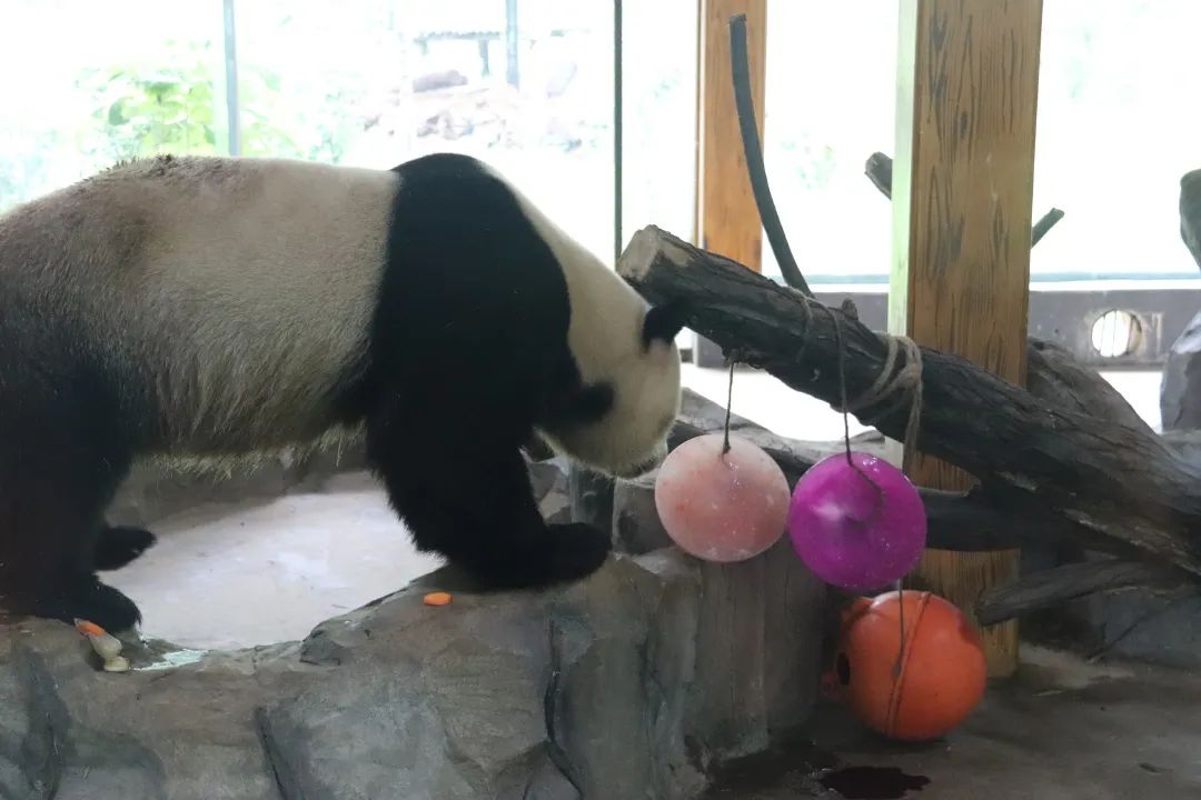 云南野生动物园