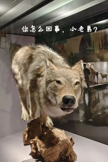 云南省博物馆