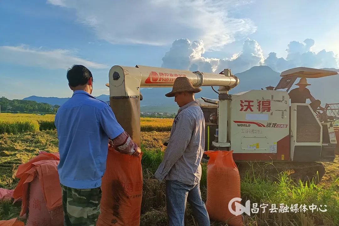 保山新闻网
