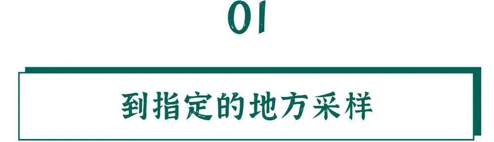 春城先锋