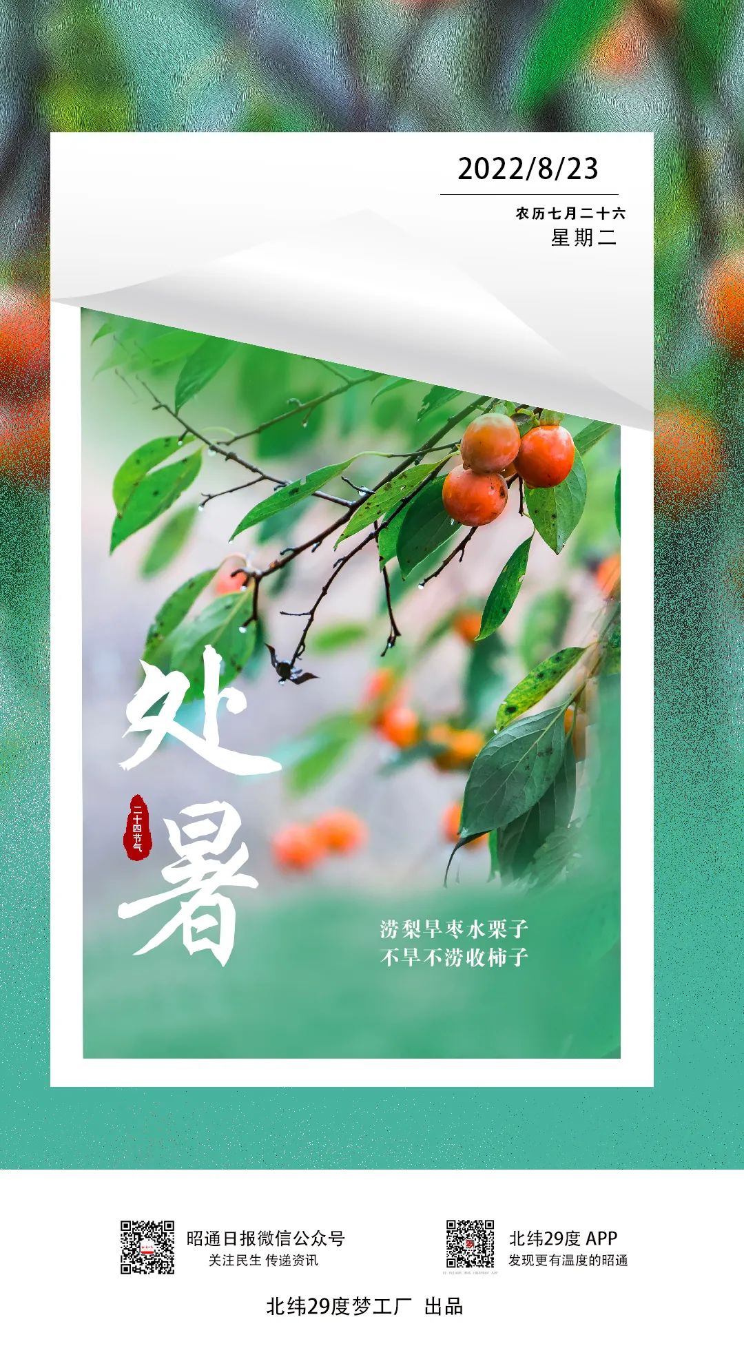 昭通日报