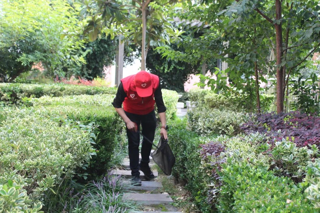 丽江日报