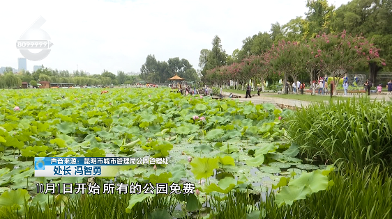 掌上春城