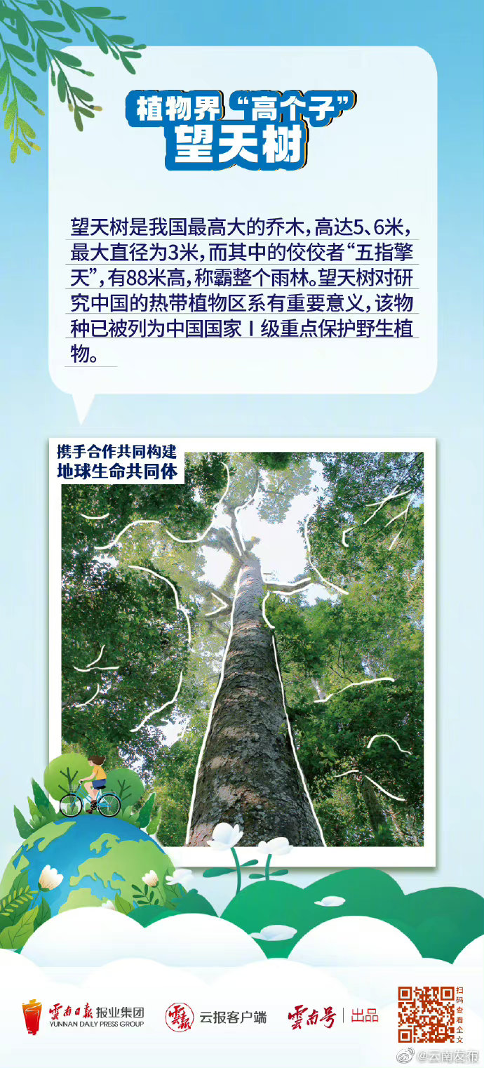 “云南发布”微博