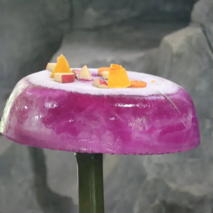 云南野生动物园