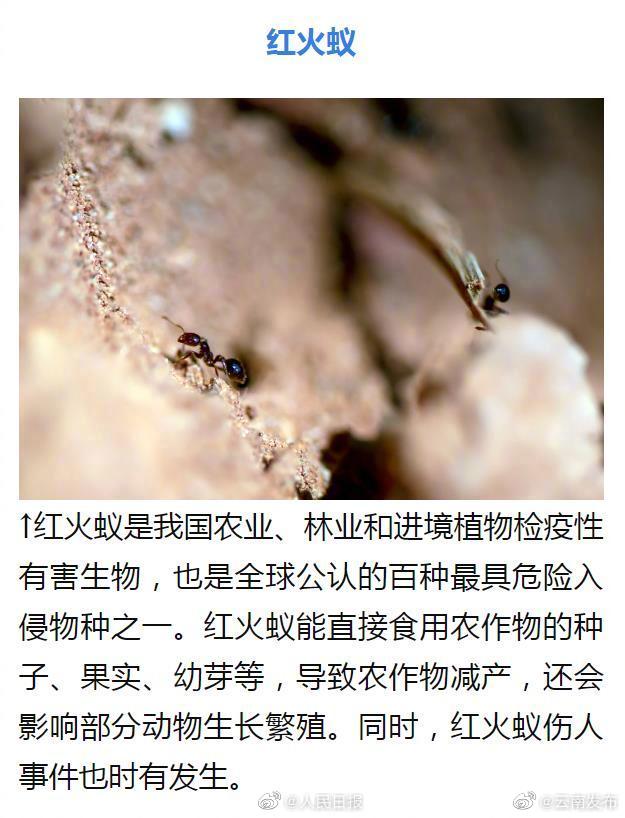 “云南发布”微博