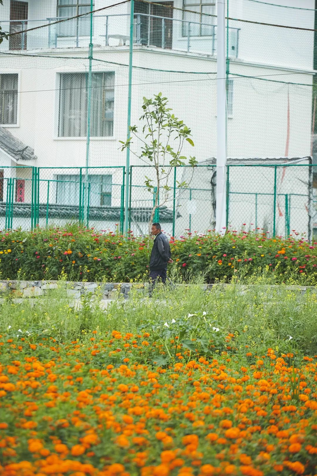 昆明文旅
