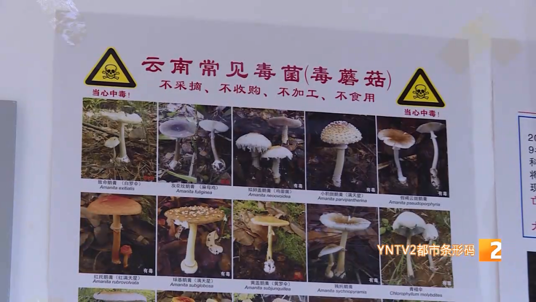 昆明信息港/cnkmxxg