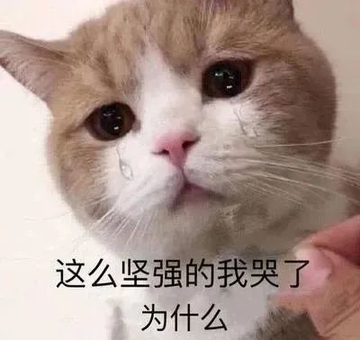 呈贡发布