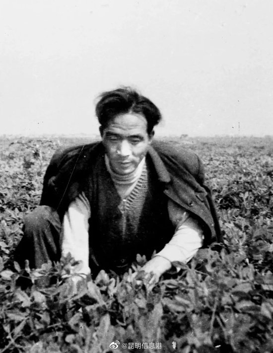 昆明信息港
