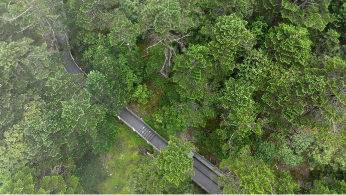 昆明轿子山旅游