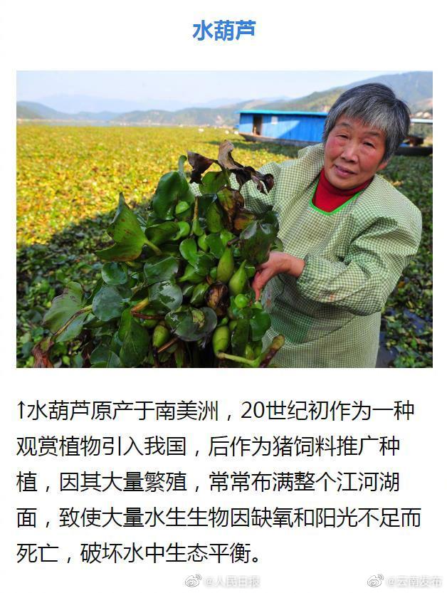 “云南发布”微博