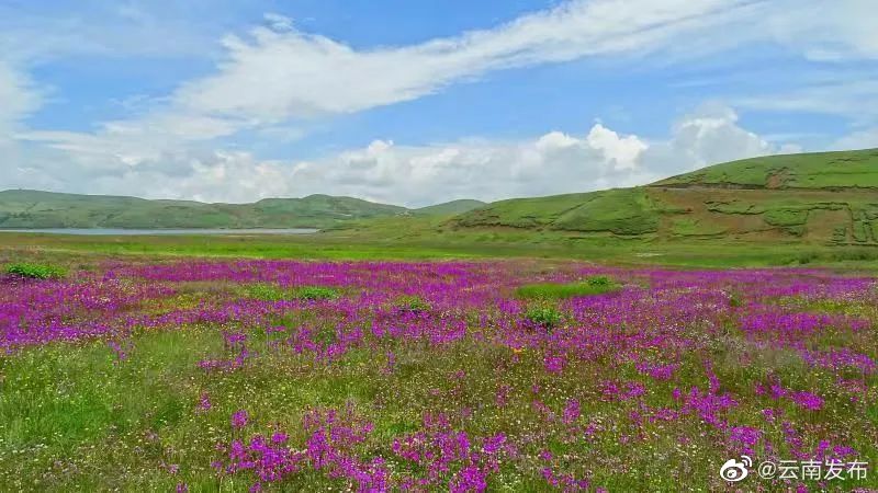 “云南发布”微博