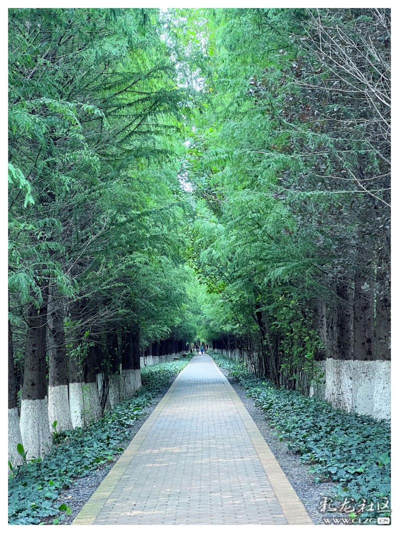 新华网云南频道