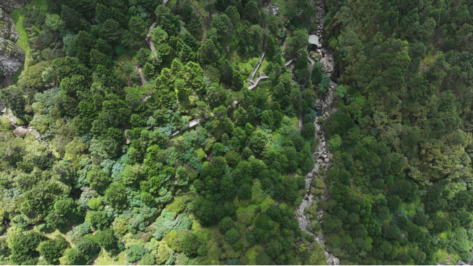 昆明轿子山旅游