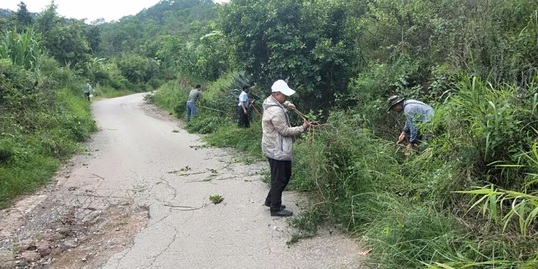 南涧党建彝乡先锋