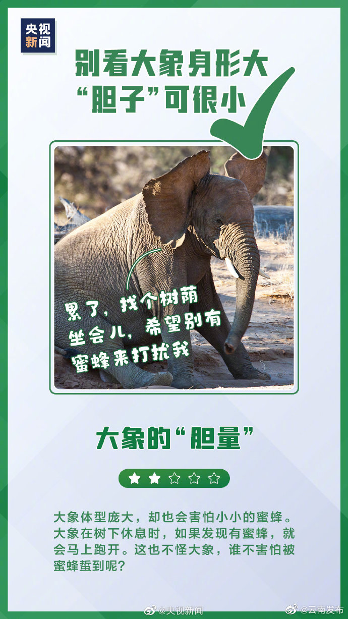 “云南发布”微博