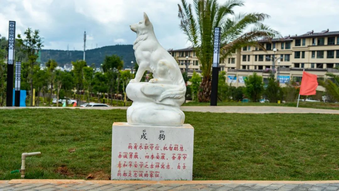 丽江日报