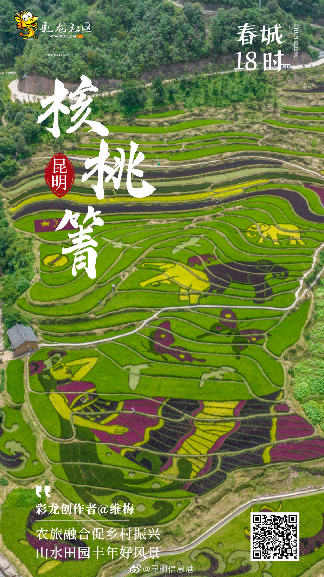 春城18时NO.57 团结乡核桃箐“梦回稻香谷”