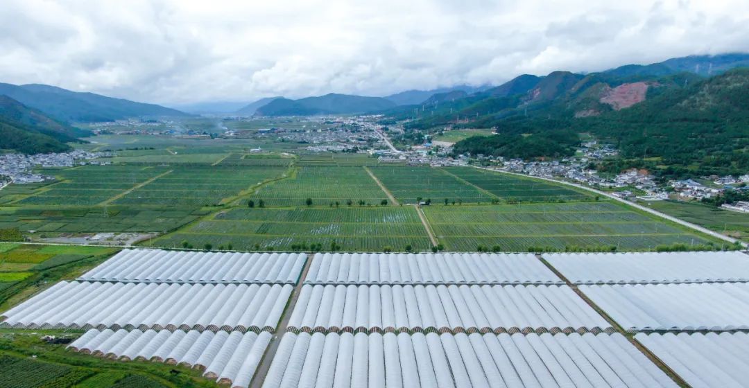 云南省人民政府网