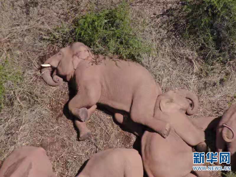 云南省文化和旅游厅