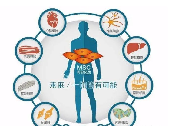 昆明国家高新区发布