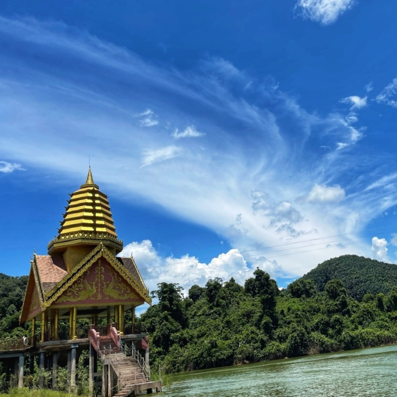 西双版纳望天树景区