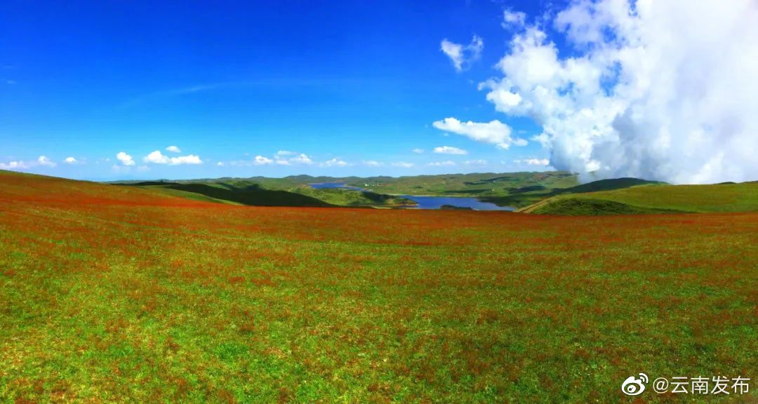 “云南发布”微博