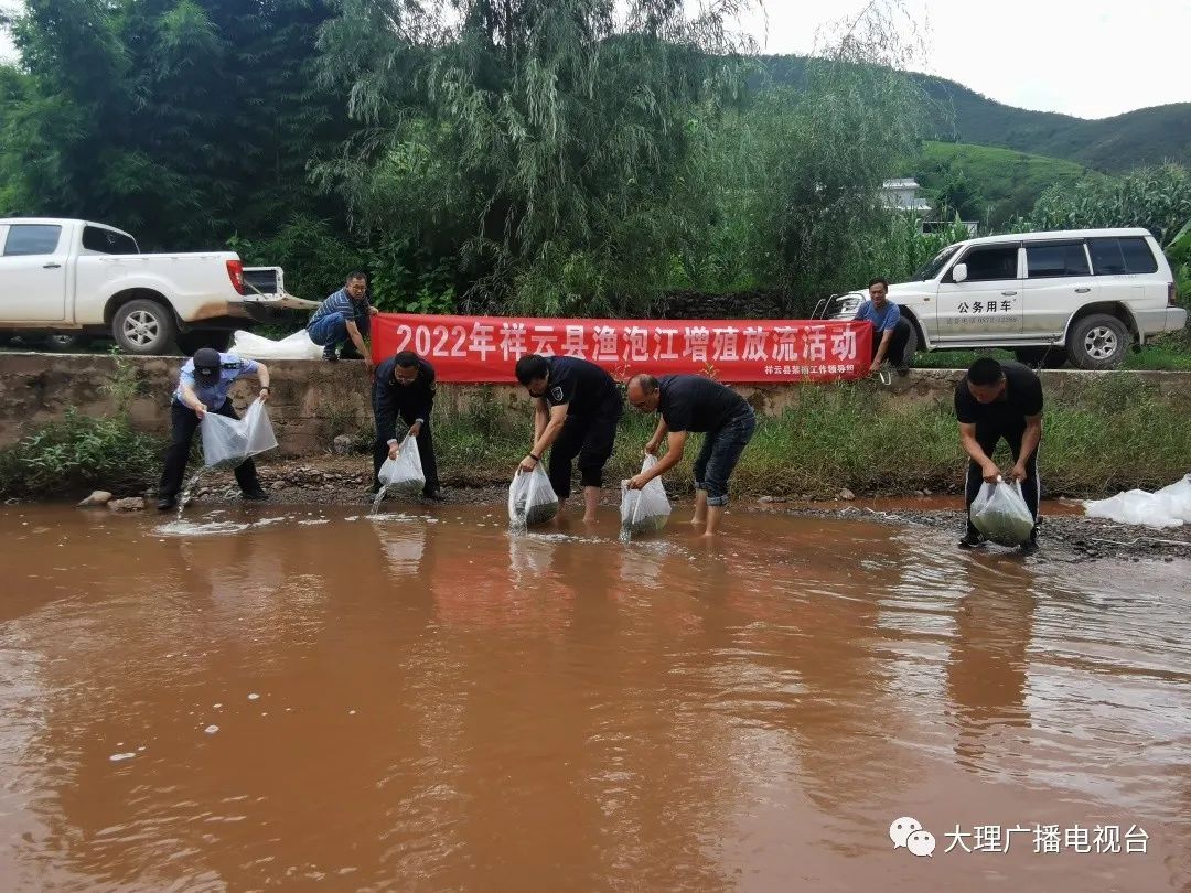 大理电视台