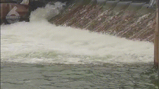 昆明信息港/cnkmxxg