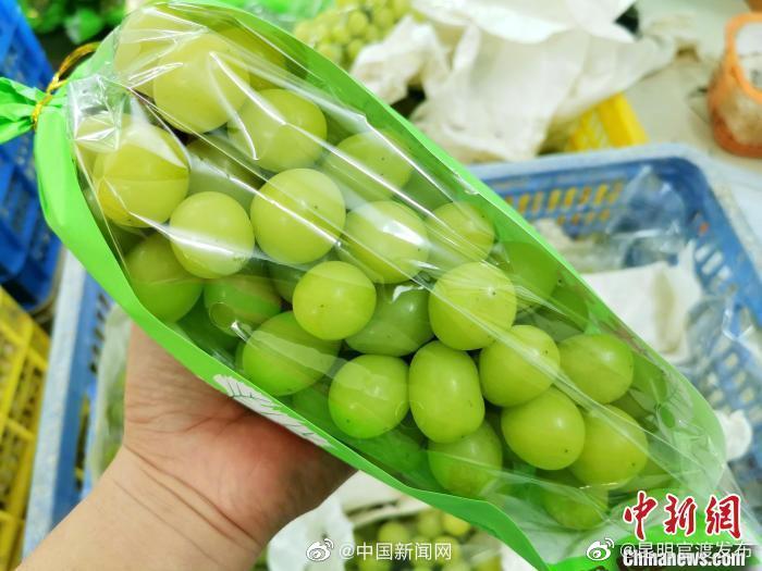阳光玫瑰葡萄价格跌入十元档