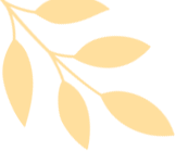 昆明市劳动就业服务局