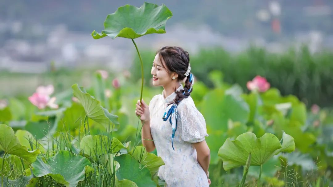 保山新闻网