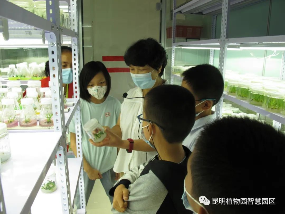 昆明植物园