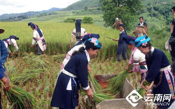 云南省文化和旅游厅