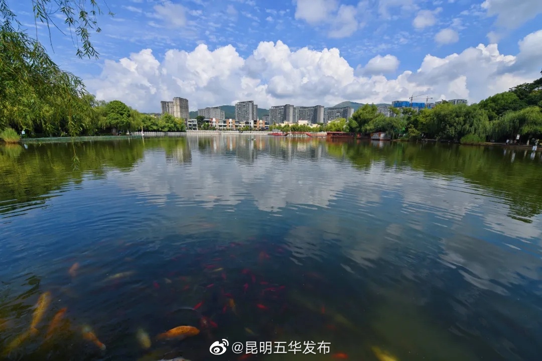 “昆明五华发布”微博
